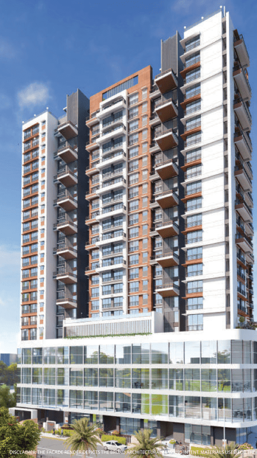 Universal-Cubic_optimized_200